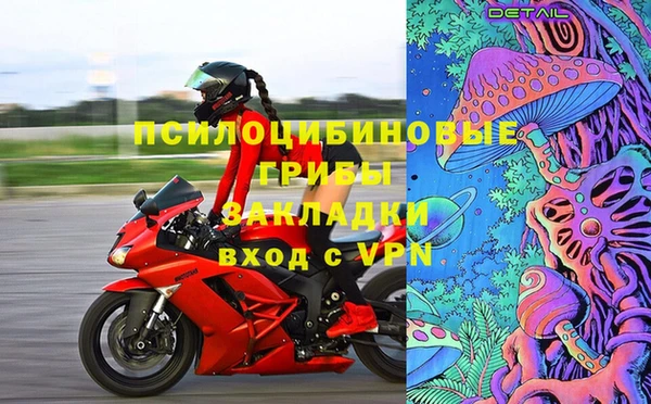 стаф Балахна
