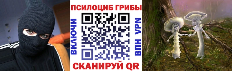 купить сайты Калуга Псилоцибиновые грибы Psilocybe